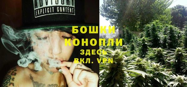 индика Балабаново