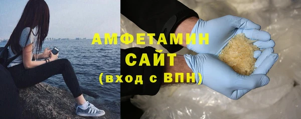 индика Балабаново