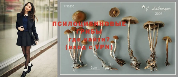 индика Балабаново