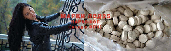 индика Балабаново