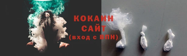 индика Балабаново