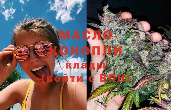 индика Балабаново