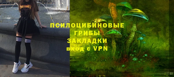 спайс Баксан