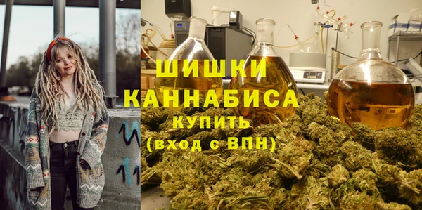 индика Балабаново